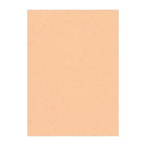 （まとめ） 文運堂 ニューカラーR 四ツ切 横392×縦542mm 4NCR-103 はだいろ 100枚入 〔×2セット〕〔代引不可〕の通販は