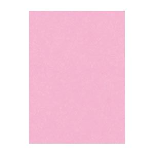 （まとめ） 文運堂 ニューカラーR 四ツ切 横392×縦542mm 4NCR-234 ときいろ 100枚入 〔×2セット〕〔代引不可〕の通販は