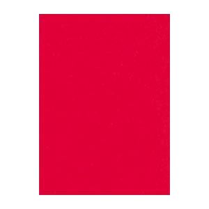 （まとめ） 文運堂 ニューカラーR 四ツ切 横392×縦542mm 4NCR-317 あか 100枚入 〔×2セット〕〔代引不可〕の通販は