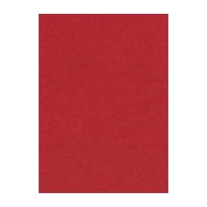 （まとめ） 文運堂 ニューカラーR 四ツ切 横392×縦542mm 4NCR-550 えんじ 100枚入 〔×2セット〕〔代引不可〕の通販は