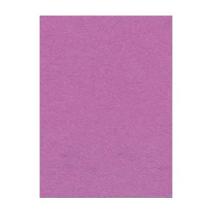 （まとめ） 文運堂 ニューカラーR 四ツ切 横392×縦542mm 4NCR-231 あかむらさき 100枚入 〔×2セット〕〔代引不可〕の通販は