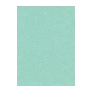 （まとめ） 文運堂 ニューカラーR 四ツ切 横392×縦542mm 4NCR-114 あかるいあさぎ 100枚入 〔×2セット〕〔代引不可〕の通販は