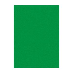 （まとめ） 文運堂 ニューカラーR 四ツ切 横392×縦542mm 4NCR-321 みどり 100枚入 〔×2セット〕〔代引不可〕の通販は