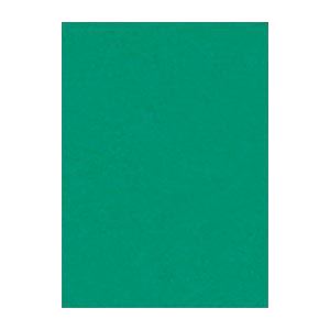 （まとめ） 文運堂 ニューカラーR 四ツ切 横392×縦542mm 4NCR-322 エメラルド 100枚入 〔×2セット〕〔代引不可〕の通販は