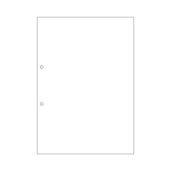 (まとめ) ヒサゴ マルチプリンター帳票(エコノミープライス) A4 白紙 2穴 BPE2001 1箱(2500枚) 〔×4セット〕〔代引不可〕の通販はコピー用紙