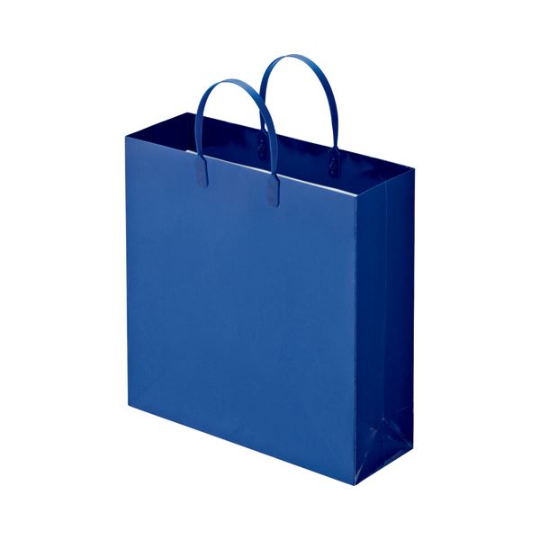 （まとめ） TANOSEE ラミネートバッグ 中 ヨコ320×タテ320×マチ幅110mm 紺 1パック（10枚） 〔×3セット〕〔代引不可〕