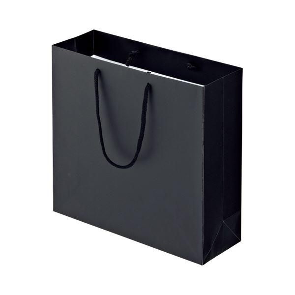 （まとめ） TANOSEE マットコート手提げ袋 M ヨコ320×タテ300×マチ幅110mm ブラック 1パック（10枚） 〔×3セット〕〔代引不可〕