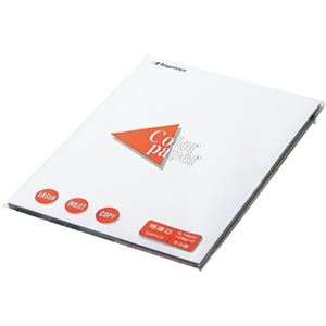 （まとめ） 長門屋商店 Color Paper A4 特厚口 白 ナ-3401V 1冊（100枚） 〔×5セット〕〔代引不可〕の通販は 6,603円