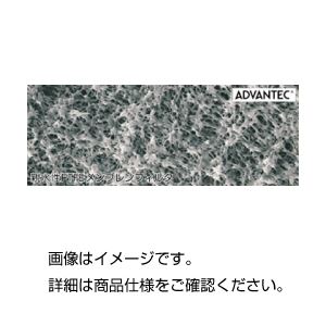 PTFEメンブレンフィルター H050A047A〔代引不可〕の通販は