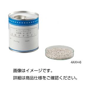 モレキュラシーブス 4AXH-6（2個入）〔代引不可〕の通販は 30,400円