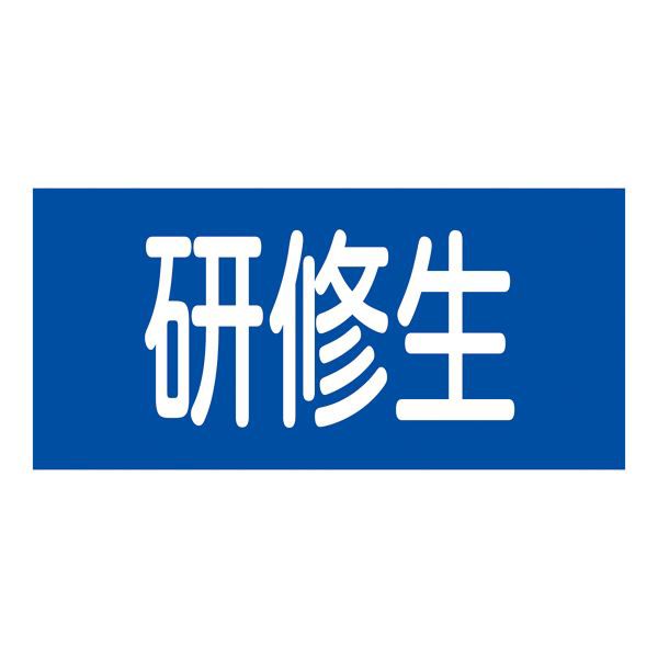 ゴム腕章 研修生 GW-13S〔代引不可〕の通販は 6,140円