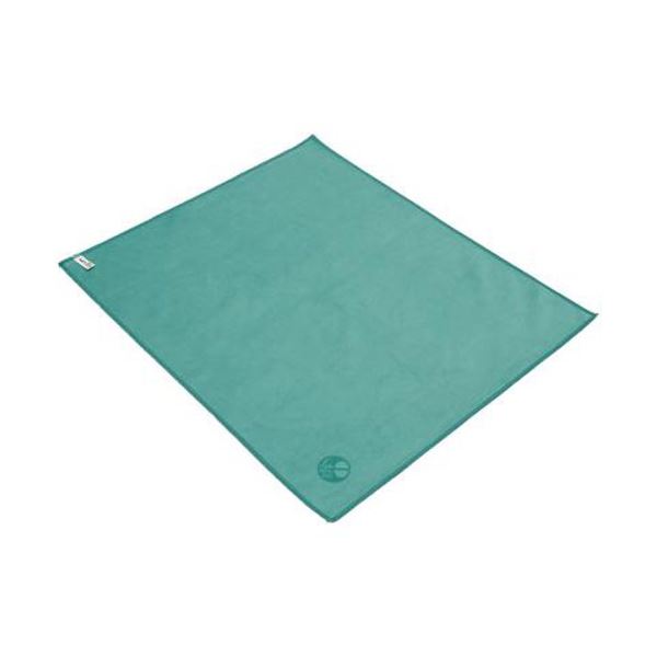 (まとめ)エツミ ミクロディアエピクロスLL グリーン E-5241〔×2セット〕〔代引不可〕の通販は