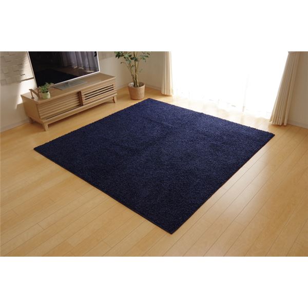 バンブー ラグマット/絨毯 〔ブラック 約190×190cm〕 竹製 無地 抗菌作用 高耐久性 〔リビング〕〔代引不可〕 バンブー ラグマット じゅうたん カーペット 敷き物 ⁄絨毯 ブラック