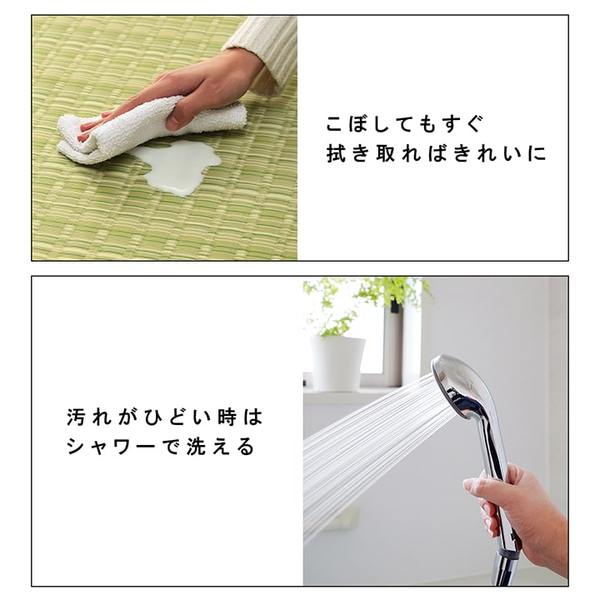 い草風 ラグマット/絨毯 〔グリーン 江戸間10畳 約435cm×352cm〕 洗える 日本製 防ダニ PPカーペット 〔リビング〕〔代引不可〕の通販は