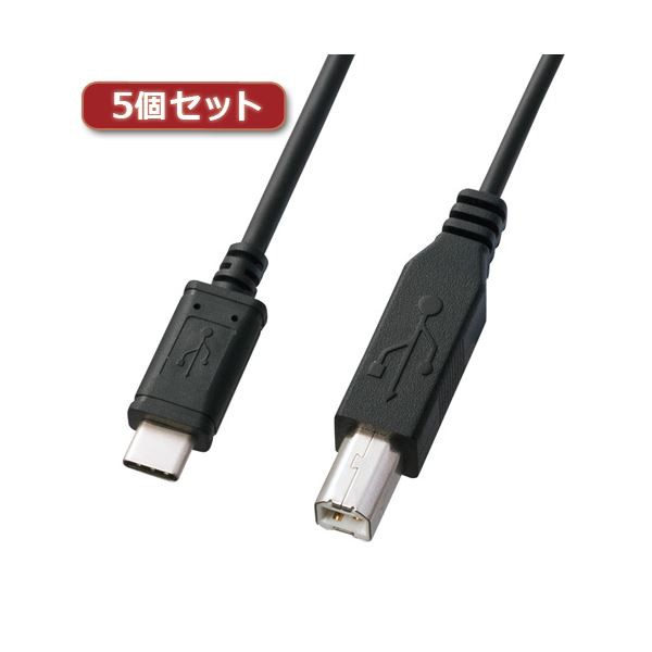 5個セット サンワサプライ USB2.0TypeC-Bケーブル KU-CB30X5〔代引不可〕