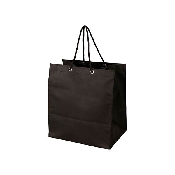 （まとめ） TRUSCO 不織布バッグ 黒315×355×275mm TNFB-10-X 1パック（10枚） 〔×2セット〕〔代引不可〕の通販は