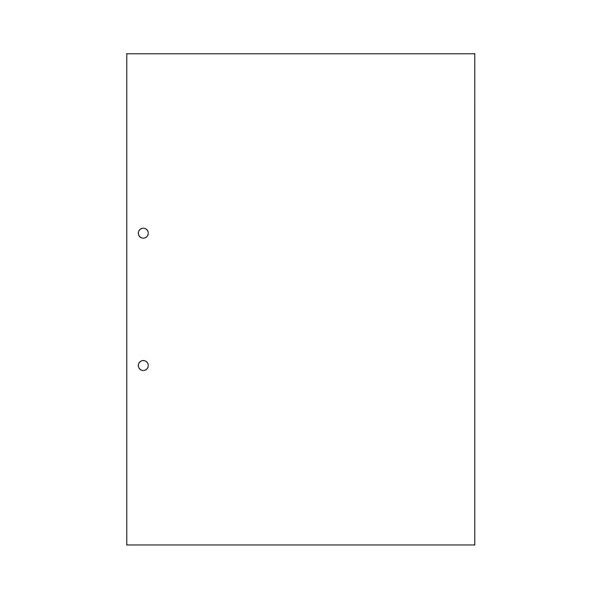 TANOSEEマルチプリンタ帳票(FSC森林認証紙) A4白紙 2穴 1セット(1000枚