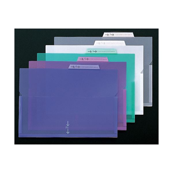 (まとめ)ライオン事務器 PPポケットホルダーA4 ブルー マチ付 LFS-12PH 1セット(5冊) 〔×5セット〕〔代引不可〕の通販は (まとめ)ライオン事務器 PPポケットホルダーA4 ブルー マチ付 LFS-12PH 1セット(5冊) 〔×5セット〕〔代引不可〕の通販は