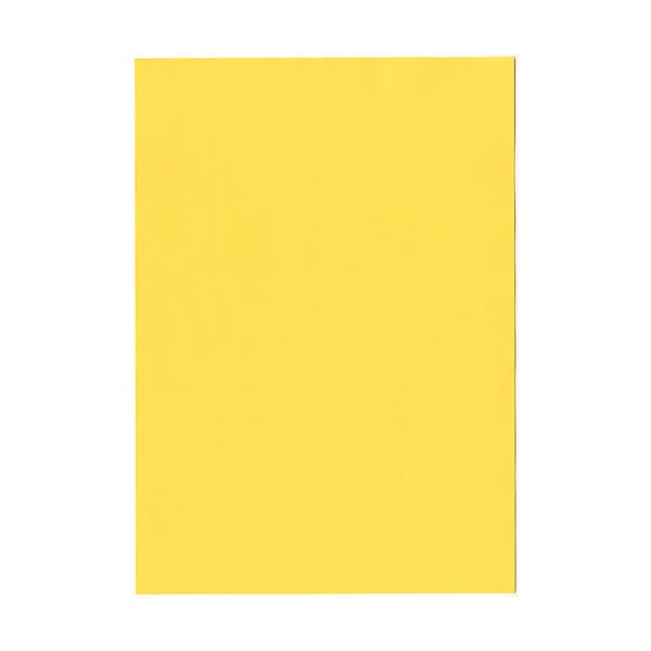 ds-1577854 （まとめ） TANOSEE αエコカラーペーパーII B5 イエロー 少枚数パック 1冊（100枚）  (ds1577854)