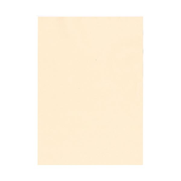 北越コーポレーション 紀州の色上質A4T目 薄口 白茶 1箱(4000枚:500枚×8冊) まとめ）北越コーポレーション 紀州の色上質A4T目 薄口 白茶 1箱(4000