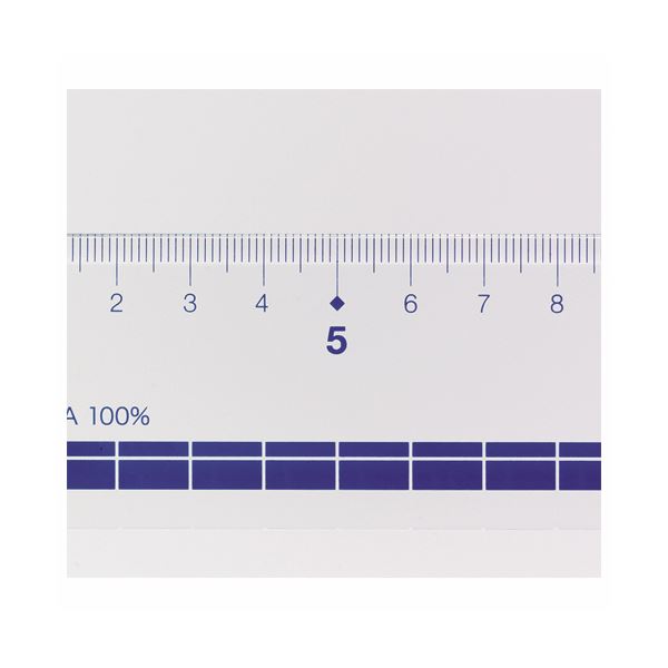 (まとめ) ライオン事務器 再生アクリル直線定規30cm No.10MR 1セット(10本) 〔×5セット〕〔代引不可〕の通販は