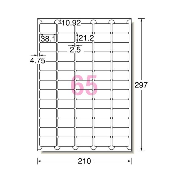 (まとめ) エーワン ラベルシール(プリンター兼用) 再生紙・ホワイト A4 65面 38.1×21.2mm 四辺余白付 角丸 31356 1冊(20シート) 〔×10の通販は