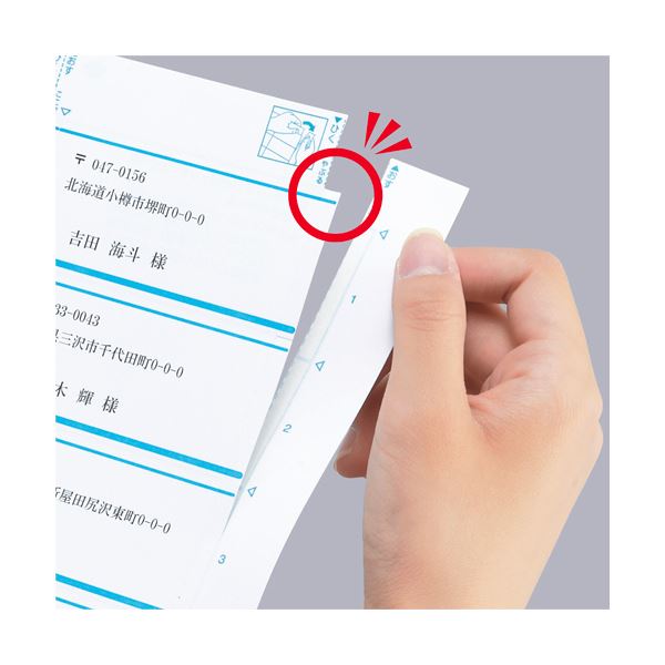 (まとめ) コクヨ プリンターを選ばない はかどりラベル (各社共通レイアウト) A4 10面 50.8×86.4mm KPC-E1101-100 1冊(100シート) 〔×10セット〕〔代引不可〕の通販は