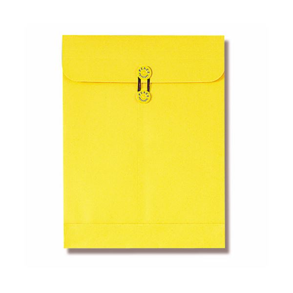 (まとめ) ピース マチ・ヒモ付保存袋 カーデックス角0 164g 133-30 1パック（10枚） 〔×10セット〕〔代引不可〕の通販は 31,363円