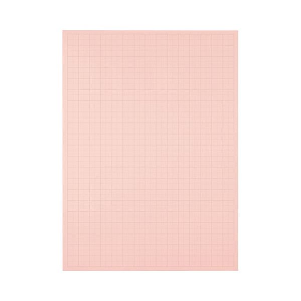 (まとめ) TANOSEE 模造紙（プルタイプ） 本体 788×1085mm 50mm方眼 ピンク 1ケース（20枚） 〔×10セット〕〔代引不可〕の通販は 13,794円