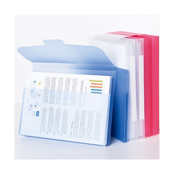 (まとめ) TANOSEE PP製ケースファイルA4 背幅23mm ブルー 1パック(3冊) 〔×30セット〕〔代引不可〕の通販は (まとめ) TANOSEE PP製ケースファイルA4 背幅23mm ブルー 1パック(3冊) 〔×30セット〕〔代引不可〕の通販は