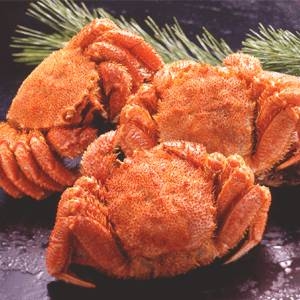 〔北海道産〕ボイル毛ガニ姿（約650g×3尾）〔代引不可〕 北海道産〕ボイル毛ガニ姿（約650g×3尾）〔代引不可〕