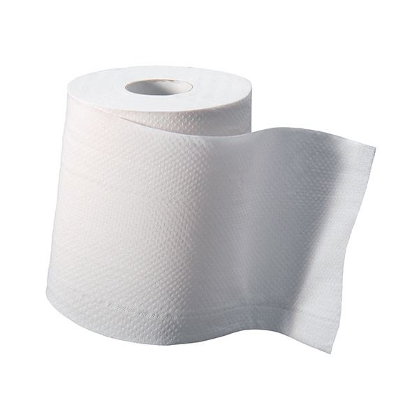 TANOSEE リサイクルトイレットペーパー ダブル 芯あり 45m 1ケース(96ロール:8ロール×12パック)〔代引不可〕の通販は TANOSEE リサイクルトイレットペーパー ダブル 芯あり 45m 1ケース(96ロール:8ロール×12パック)〔代引不可〕の通販は