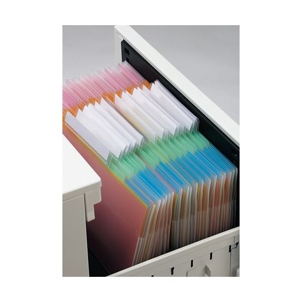 （まとめ）ハピラ 持ち出しファイル ファスナー付A4 MDFF01 1冊〔×20セット〕〔代引不可〕