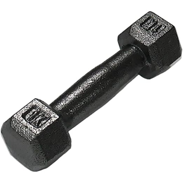 鉄アレー/ダンベル 〔8kg×2本〕 D813