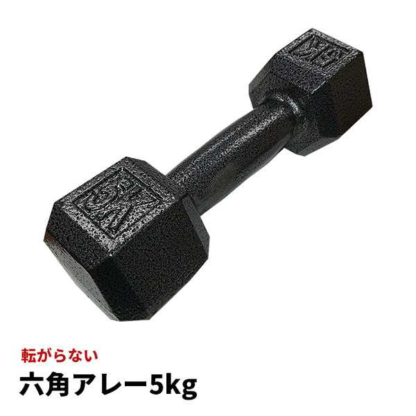 鉄アレー ダンベル 〔5kg×4本〕防滑 防傷 転がりにくい仕様 〔スポーツ