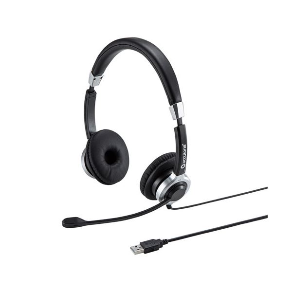 サンワサプライ ノイズキャンセリングマイク付きUSBヘッドセット MM-HSU15ANC〔代引不可〕の通販は 20,060円