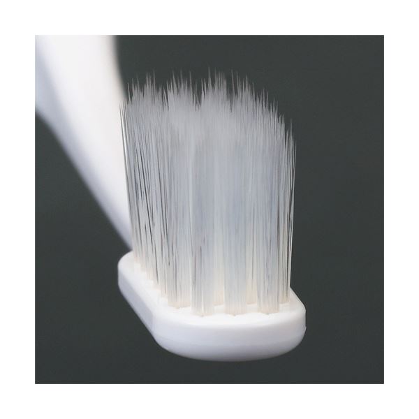 （まとめ）ライオン システマハブラシ コンパクト 4列ヘッド ふつう 1本 〔×10セット〕〔代引不可〕の通販は