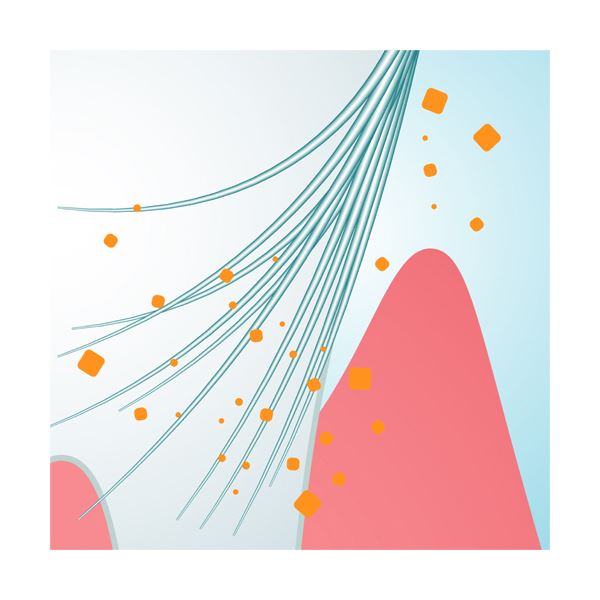 （まとめ）ライオン システマハブラシ コンパクト 4列ヘッド ふつう 1本 〔×10セット〕〔代引不可〕の通販は