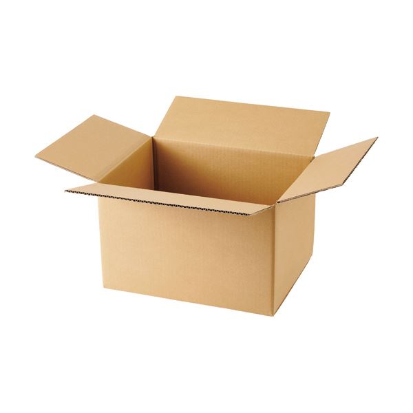 （まとめ）TANOSEE 無地ダンボール箱 B4ワイド判対応サイズ 高さ260mm 1パック（10枚） 〔×5セット〕〔代引不可〕の通販は