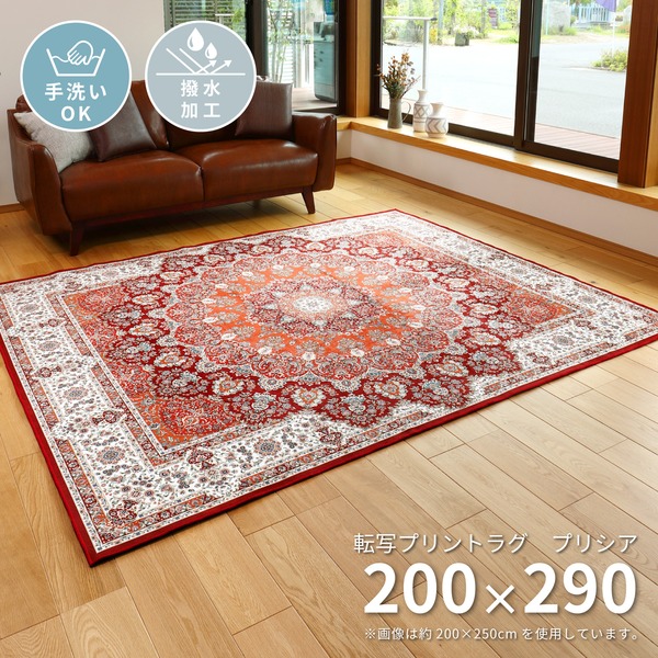 モダン ラグマット/絨毯 〔プリシア 約200×290cm〕 洗える 撥水 防滑加工 転写プリントラグ 〔リビング ダイニング〕〔代引不可〕の通販はその他カーペット・ラグ