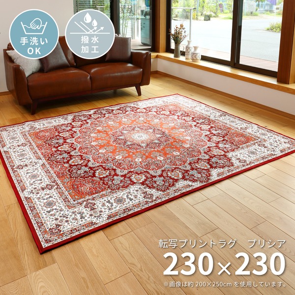 モダン ラグマット/絨毯 〔プリシア 約230×230cm〕 洗える 撥水 防滑加工 転写プリントラグ 〔リビング ダイニング〕〔代引不可〕の通販は