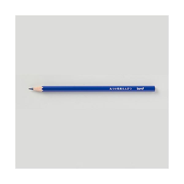 (まとめ) トンボ鉛筆 ippo 丸つけ用 青鉛筆2本パック 〔×30セット〕〔代引不可〕の通販は (まとめ) トンボ鉛筆 ippo 丸つけ用 青鉛筆2本パック 〔×30セット〕〔代引不可〕の通販は