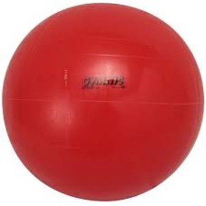 ギムニクカラーボール 55cm レッド〔代引不可〕の通販は