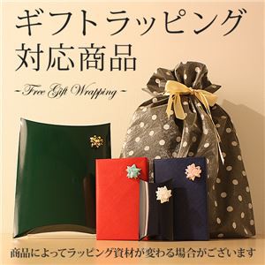 純プラチナ プリンセスカットダイヤモンドペンダント/ネックレス 計0.15アップCT〔代引不可〕の通販は