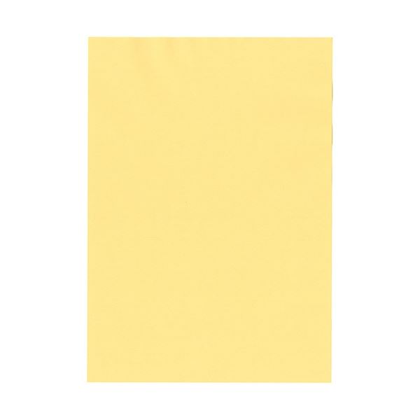 北越コーポレーション 紀州の色上質 A3 T目 超厚口 クリーム 1箱(400枚：100枚×4冊)〔代引不可〕の通販は 15,530円