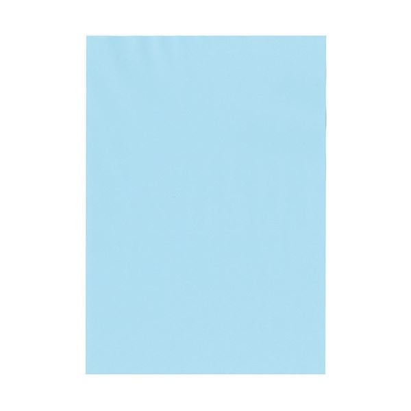 北越コーポレーション 紀州の色上質 A3 T目 超厚口 空 1箱(400枚：100枚×4冊)〔代引不可〕の通販は 15,530円