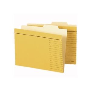 (まとめ) ライオン事務器 個別フォルダー A5判 A5-IF-R 1冊 〔×50セット〕〔代引不可〕の通販は