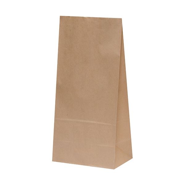 (まとめ) パックタケヤマ 角底袋 未晒 無地 H16mm XZT00389 1パック(100枚) 〔×5セット〕〔代引不可〕の通販は 13,698円