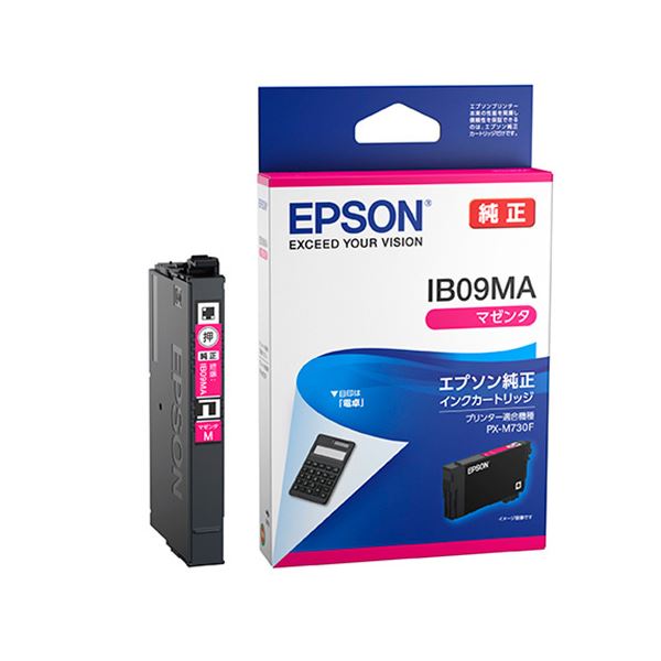 (まとめ) エプソン(EPSON) 〔純正〕 インクカートリッジ マゼンタ IB09MA 〔×10セット〕〔代引不可〕の通販は
