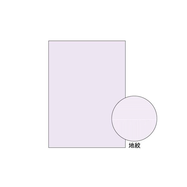 コピー判別用紙 両面 1000枚入 A4 BP2110Z〔代引不可〕